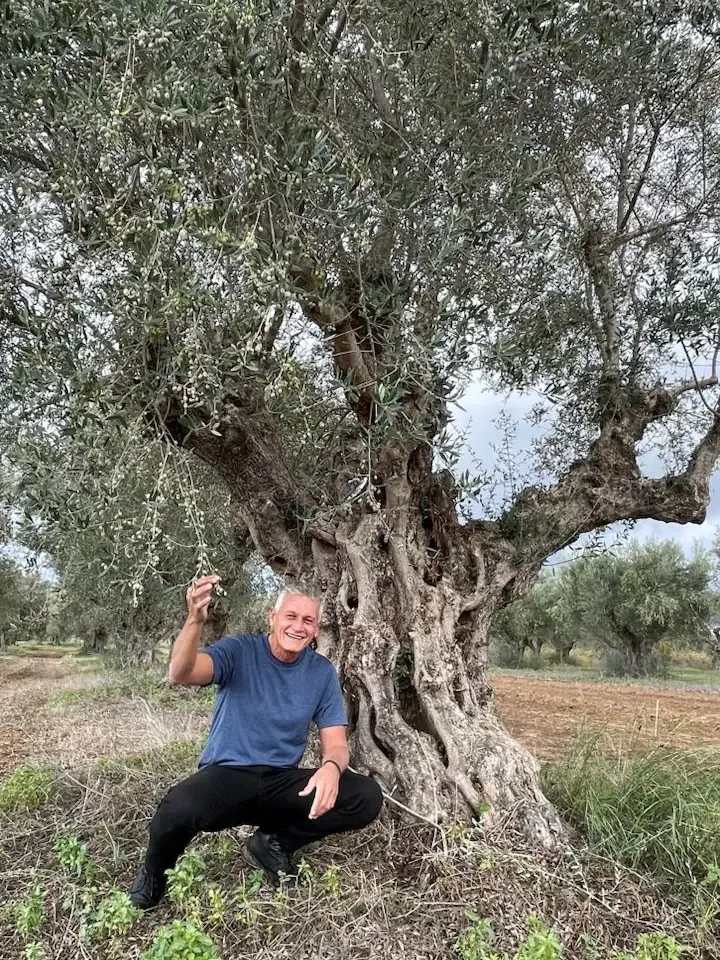 The eldest son, crouching beside one of the estate's oldest olive trees