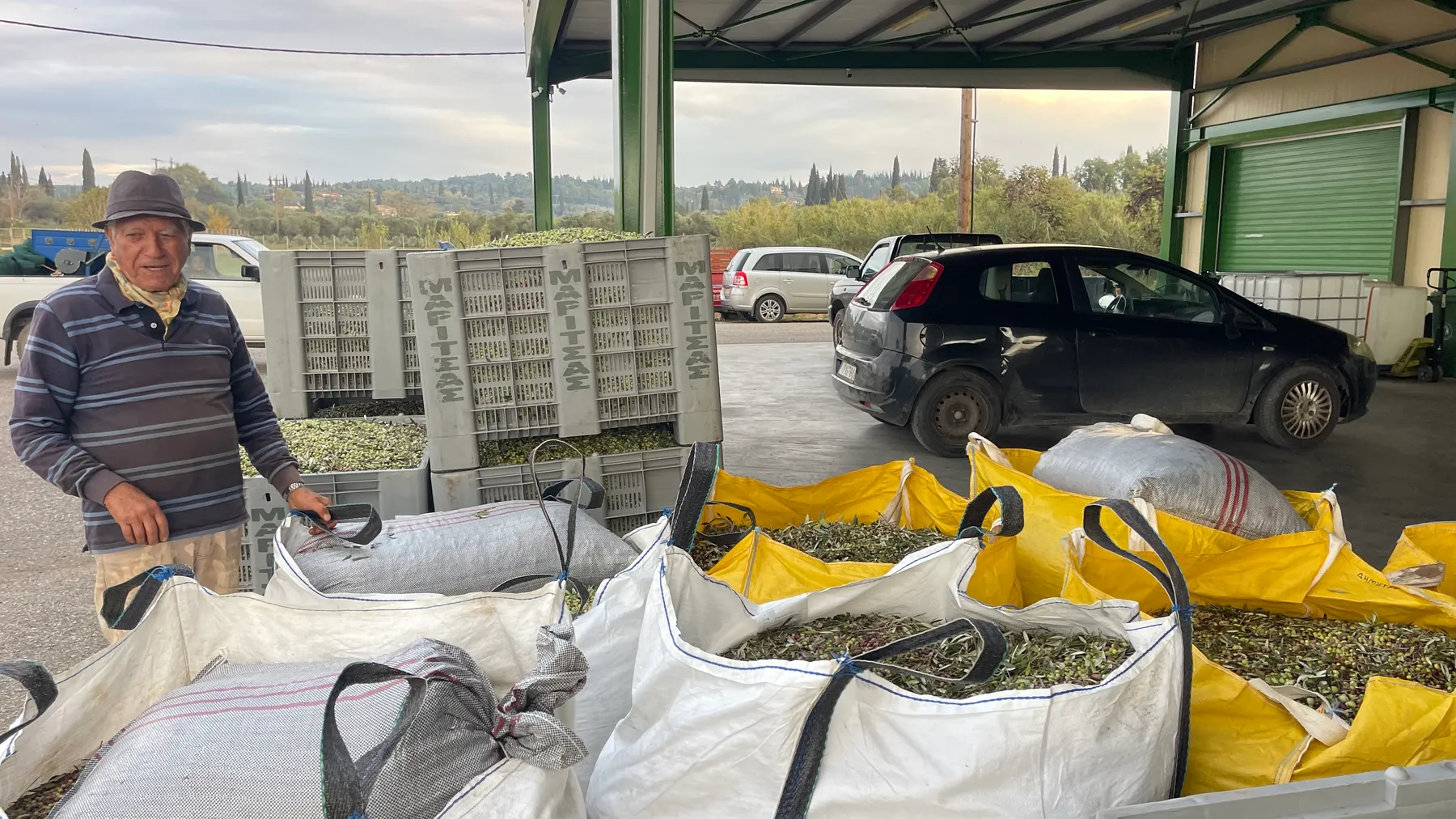 Ευάγγελος (Angelo) standing proudly at the depot, his harvest bagged and waiting to be pressed