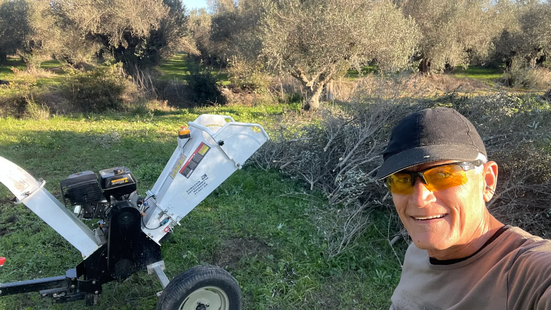 Ευάγγελος (Angelo) beside the wood chipper, mulching prunings back into the grove