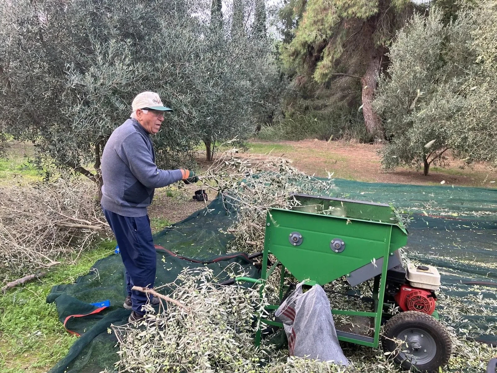 Gathering the Harvest