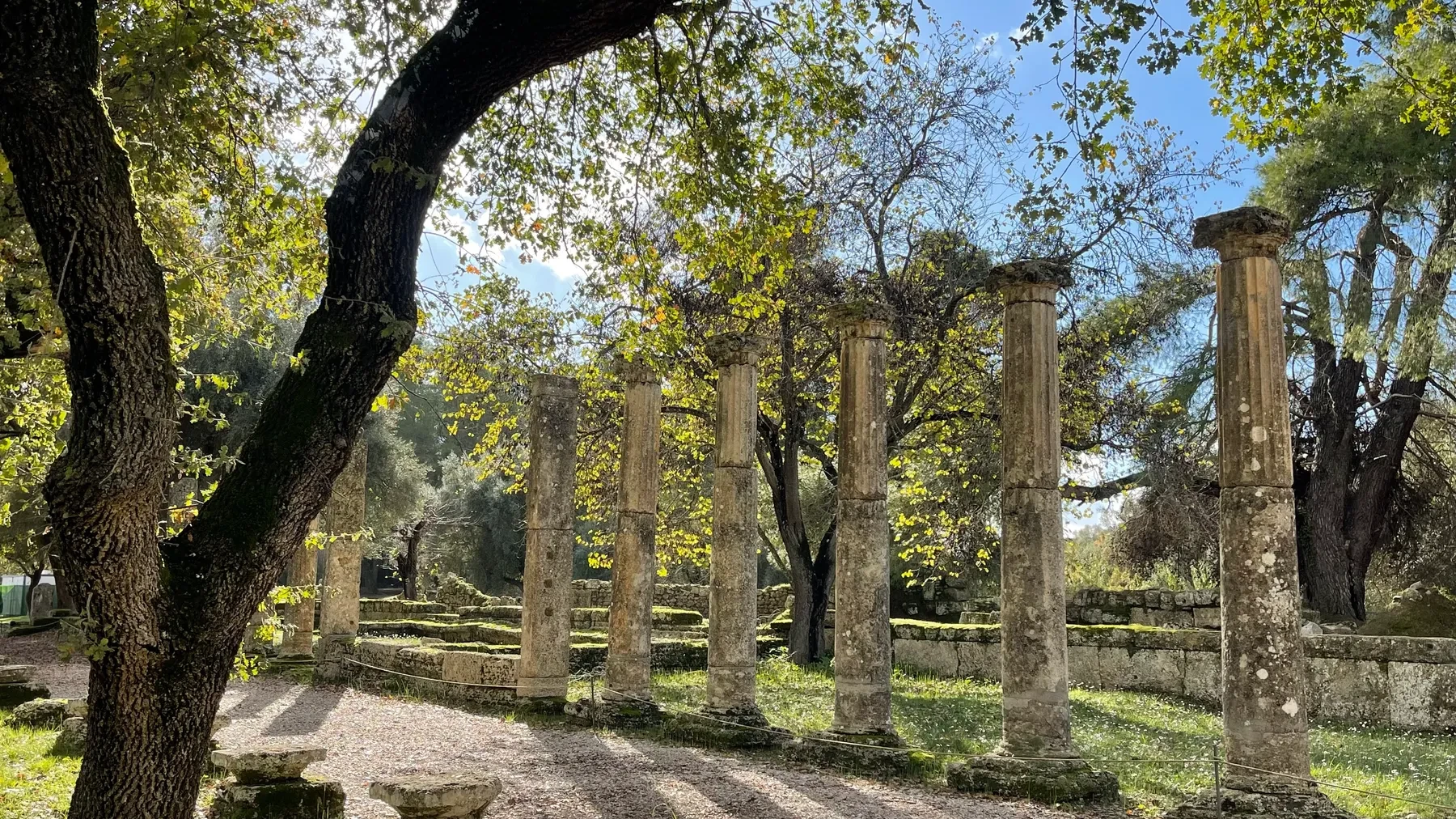 A curved arc of ancient columns at Olympia, near the family's groves