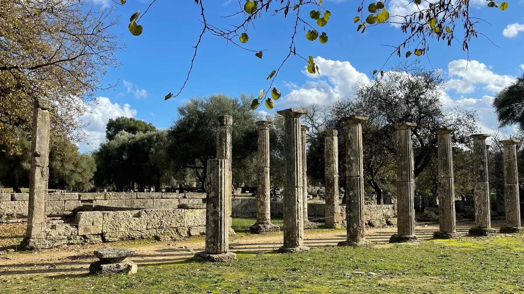 A standing row of columns at Ancient Olympia, olive trees growing at the site