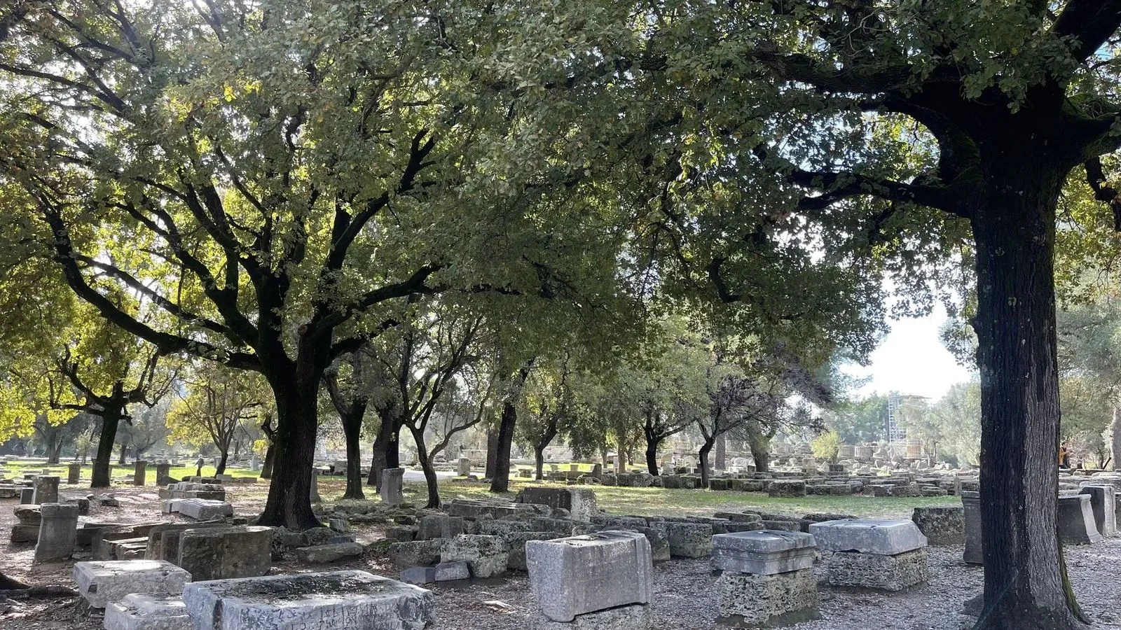 A wide view across the ruins of Ancient Olympia