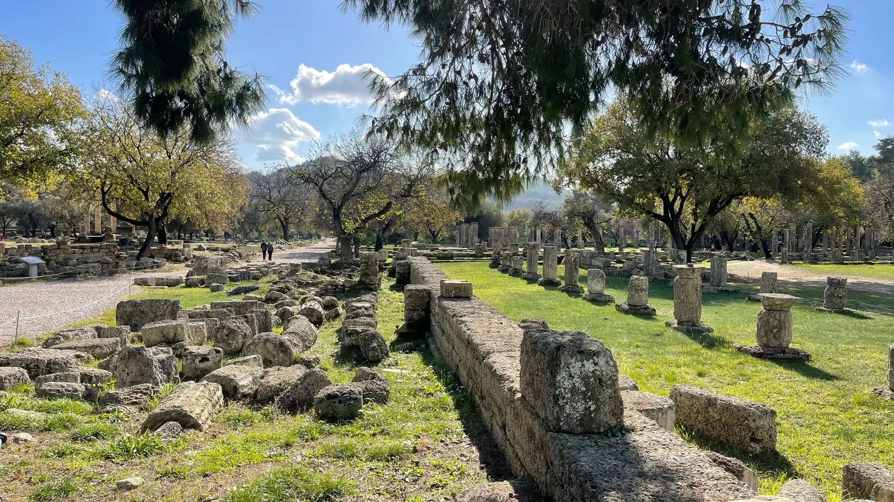 A pine-shaded colonnade at Ancient Olympia