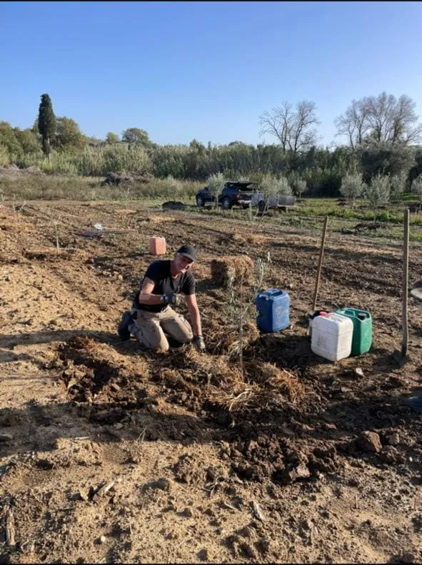 The crew kneeling to plant a new sapling, jerry cans of water at hand
