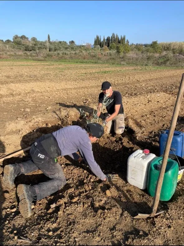Two crew members planting a new sapling in the freshly tilled field