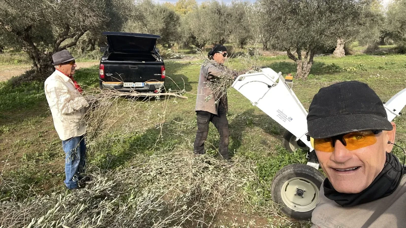 Wood chipping olive branches into mulch instead of burning them
