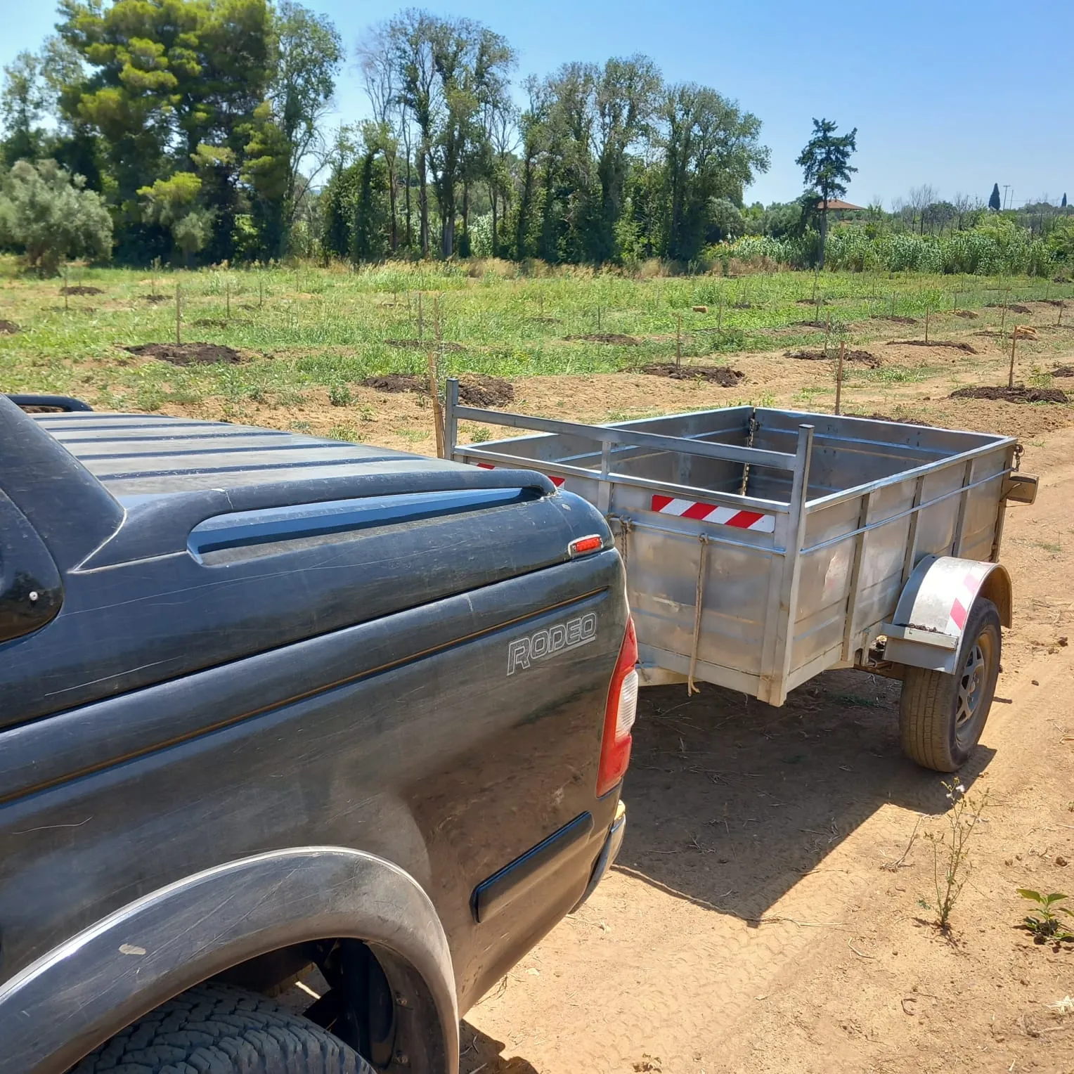 A truck and trailer parked at the edge of a new planting, young trees staked in rows