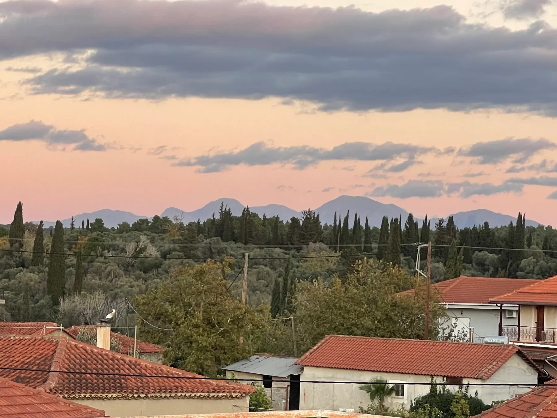 Dusk over the village, pink and purple clouds, a bird on a chimney